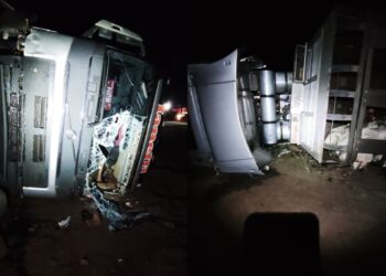Carreta boiadeira tomba na BR-262, animais morrem e duas pessoas ficam feridas; veja vídeo